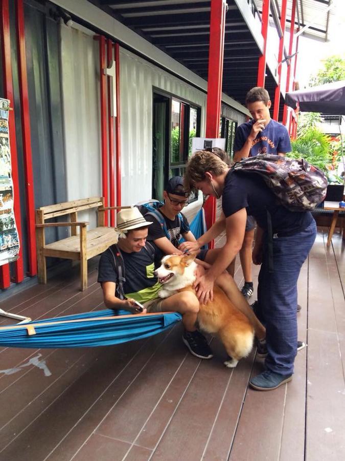 At Box Hostel Chiang Mai Eksteriør billede